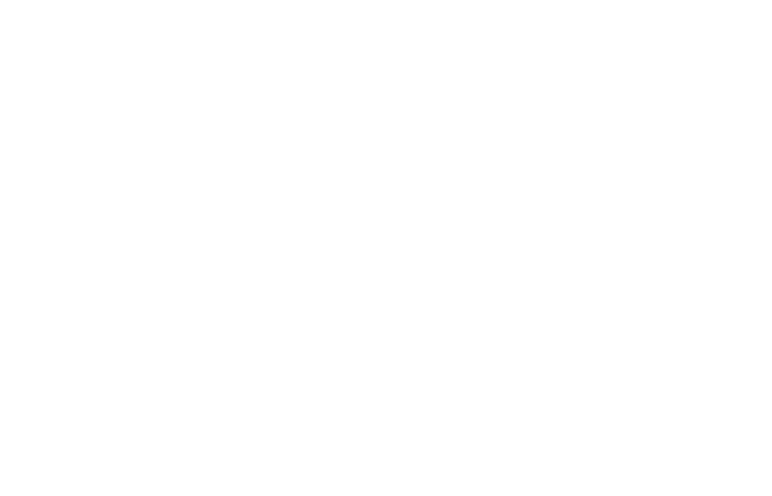 ACIJU LOGO