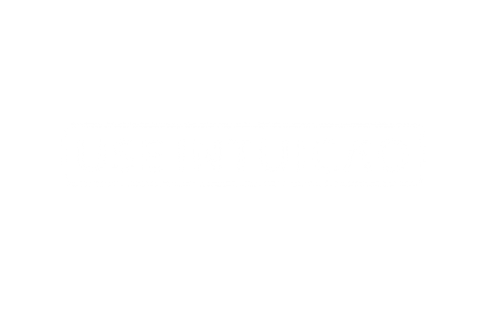USE INTUICAO LOGO