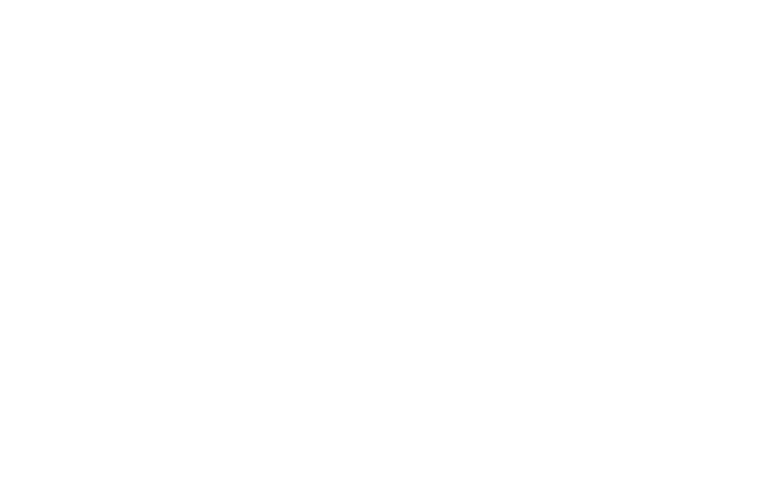 VIVAVOX LOGO
